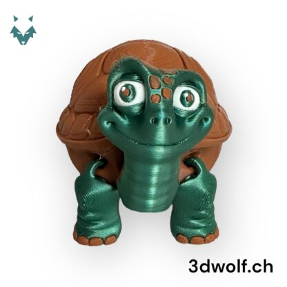 schildkroete_mit_fach_4