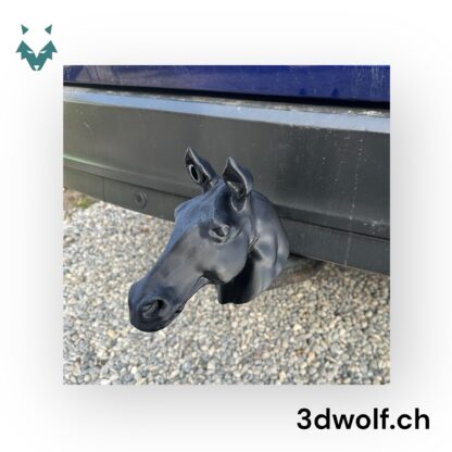 schwarz_1