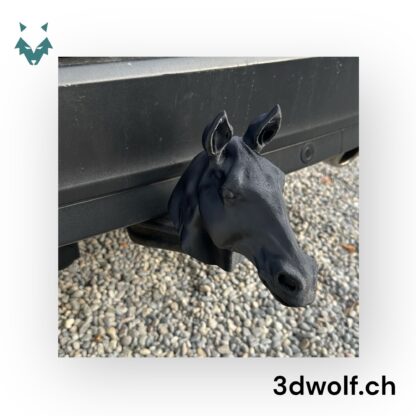 schwarz_2